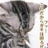 なつしよ profil fotoğrafı