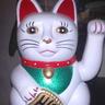 Lucky Cat 的头像