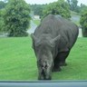John peterson's profile picture