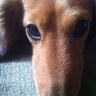 er's profile picture