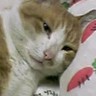 あき's profile picture