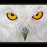 LEOIESCRIBO's profile picture