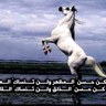 Фото профиля ابوسلطان