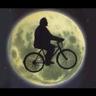 Tommy Roche's profile picture