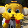 阪神タイガースくん's profile picture