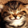 Profilbild von curious621