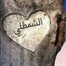أبو ناجي profil fotoğrafı