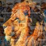 Фото профиля Y