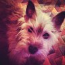 Profilbild von Gail B