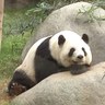 RENE28 的头像