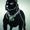 SpartanDawg 的头像