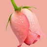 مستشار تربوي's profile picture