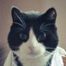 Alexander Ilyin's profile picture