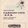Фото профиля CardiffCityProgramme
