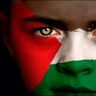 ismail mulla's profile picture
