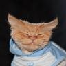Вальдемар's profile picture