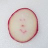 Beelly Boi 的头像