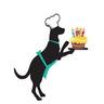Paw Pleasers's profile picture