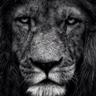 netillo's profile picture