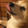 sana's profile picture