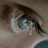 Me's profile picture