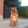 Profilbild von Axle