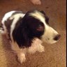 Maureen's profile picture