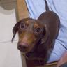 babby's profile picture