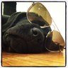Profilbild von Brian