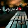 wael 的头像