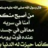 أبو يوسف سعيد's profile picture