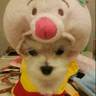 dodo27's profile picture