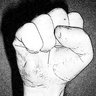 mustafa karahan's profile picture