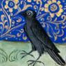 Corneille bleue profil fotoğrafı