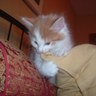 deeneece profil fotoğrafı
