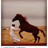 Фото профиля الهوى جنوبي UAE