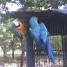 Fireley longart profil fotoğrafı