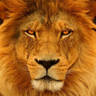 RSA's profile picture