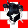 Sarakgaming profil fotoğrafı
