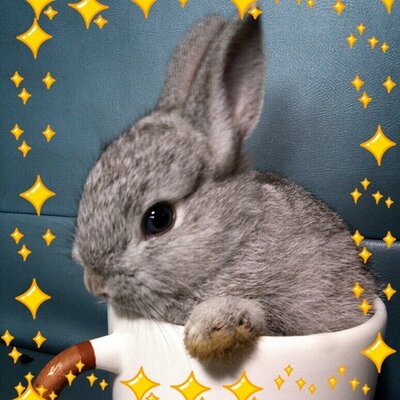 luna7taka9's profile picture