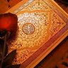 Фото профиля Wafa Shawish