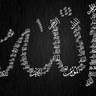 ام بدر's profile picture
