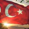 kubilay şahin 🐞 profil fotoğrafı