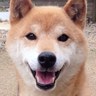 むさやん's profile picture
