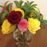 Rose K profil fotoğrafı