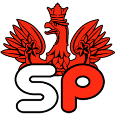 Scouting Polska's profile picture