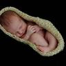 Zeyn Emedi (☆) profil fotoğrafı