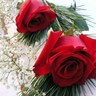 Фото профиля ام عبدالله
