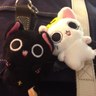 Profilbild von まっち