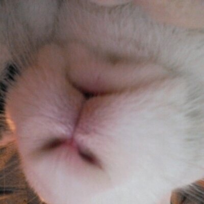 LeonardREW's profile picture